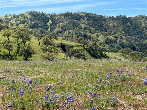 Apple co-founder to sell huge Carmel Valley ranch for $35 million to become public nature preserve